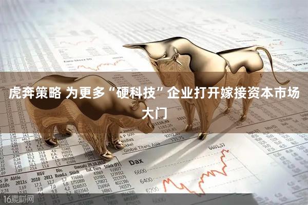 虎奔策略 为更多“硬科技”企业打开嫁接资本市场大门
