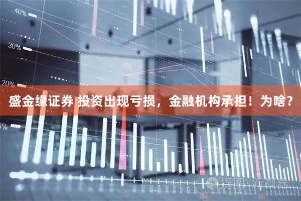 盛金缘证券 投资出现亏损，金融机构承担！为啥？