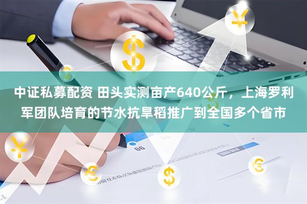 中证私募配资 田头实测亩产640公斤，上海罗利军团队培育的节水抗旱稻推广到全国多个省市