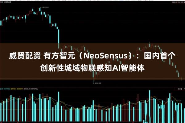 威贤配资 有方智元（NeoSensus）：国内首个创新性城域物联感知AI智能体