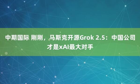 中期国际 刚刚，马斯克开源Grok 2.5：中国公司才是xAI最大对手
