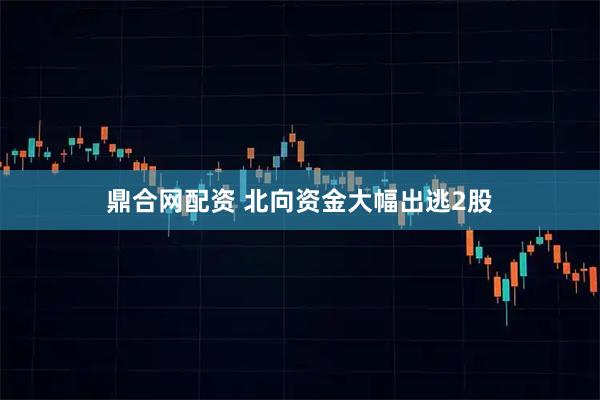 鼎合网配资 北向资金大幅出逃2股
