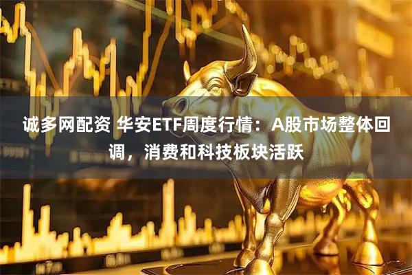 诚多网配资 华安ETF周度行情：A股市场整体回调，消费和科技板块活跃