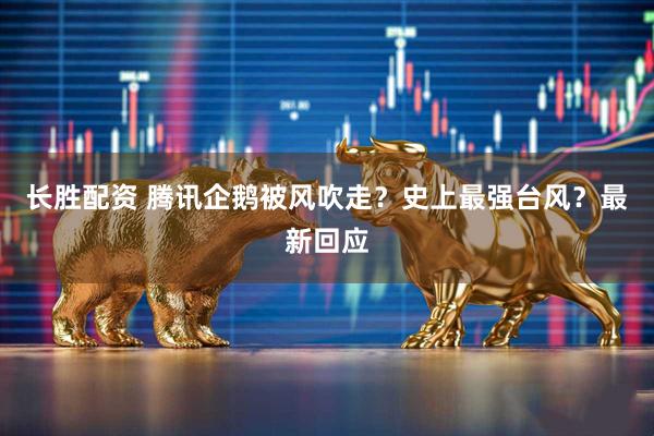 长胜配资 腾讯企鹅被风吹走？史上最强台风？最新回应