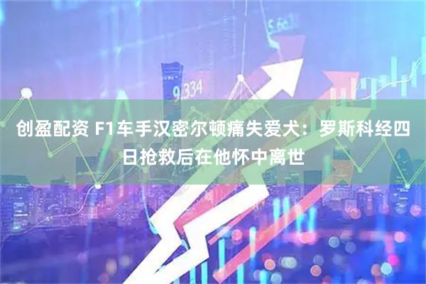 创盈配资 F1车手汉密尔顿痛失爱犬：罗斯科经四日抢救后在他怀中离世