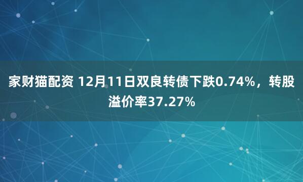 家财猫配资 12月11日双良转债下跌0.74%，转股溢价率37.27%