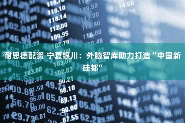 耐思徳配资 宁夏银川：外脑智库助力打造“中国新硅都”